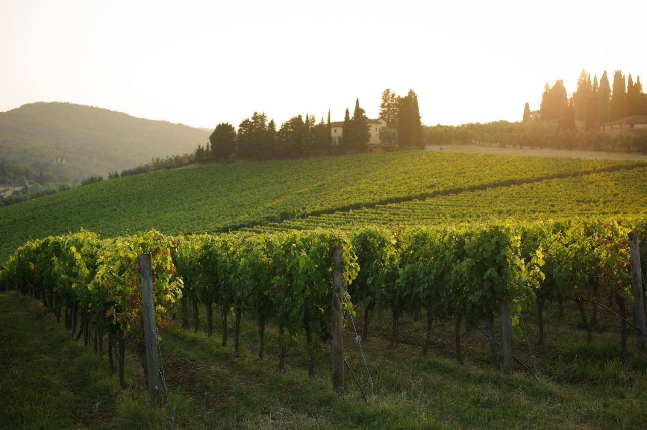 Chiantivillas Villa Torricella, 27 塔瓦尔努泽 外观 照片